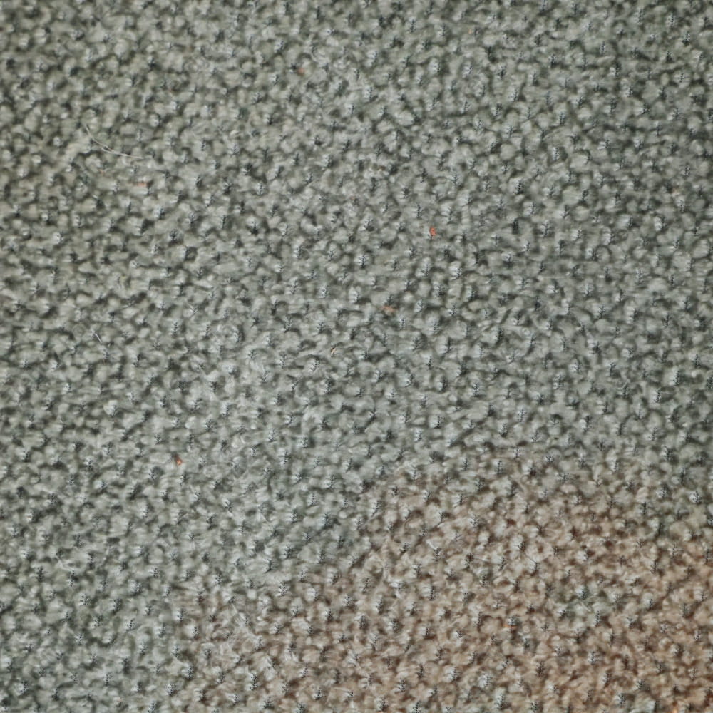 انترية 590